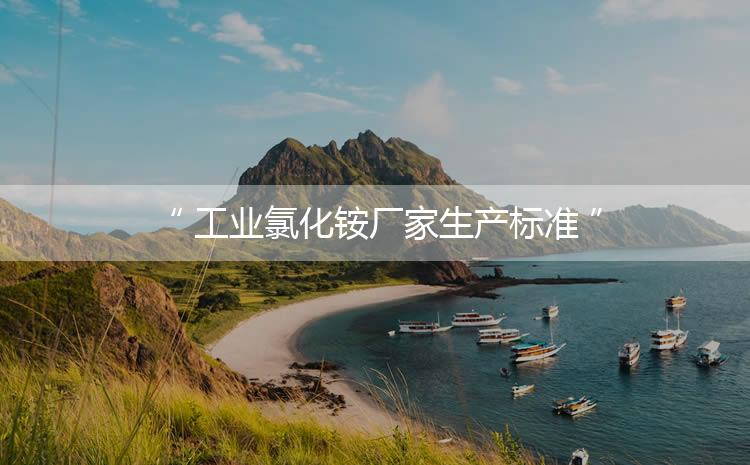 工業(yè)氯化銨廠家生產(chǎn)標(biāo)準(zhǔn)，生產(chǎn)過程進(jìn)行嚴(yán)密的監(jiān)控！