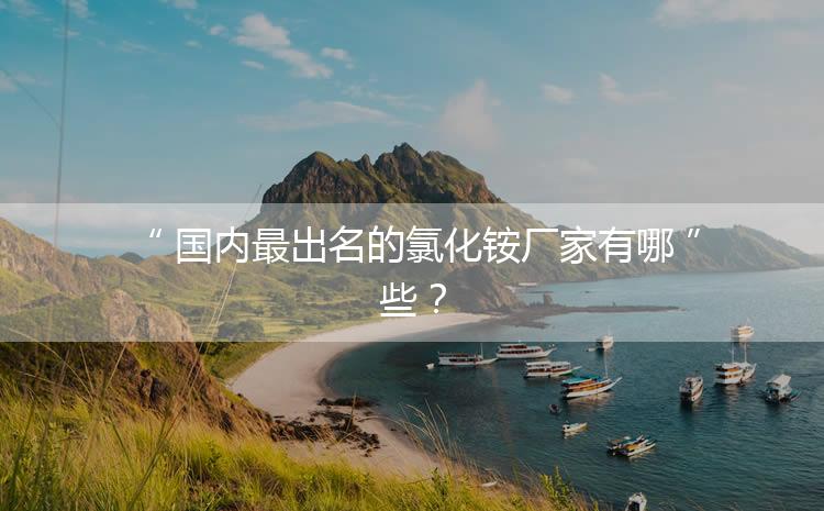 國內(nèi)最出名的氯化銨廠家有哪些？