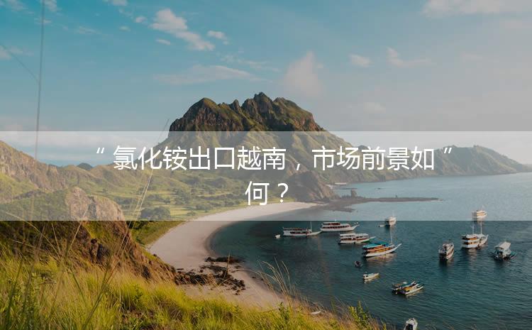 氯化銨出口越南，市場前景如何？